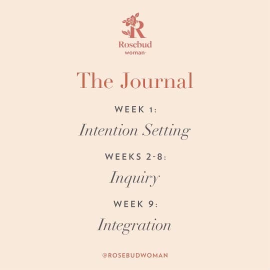 Body Love Journal: Self Love in Action