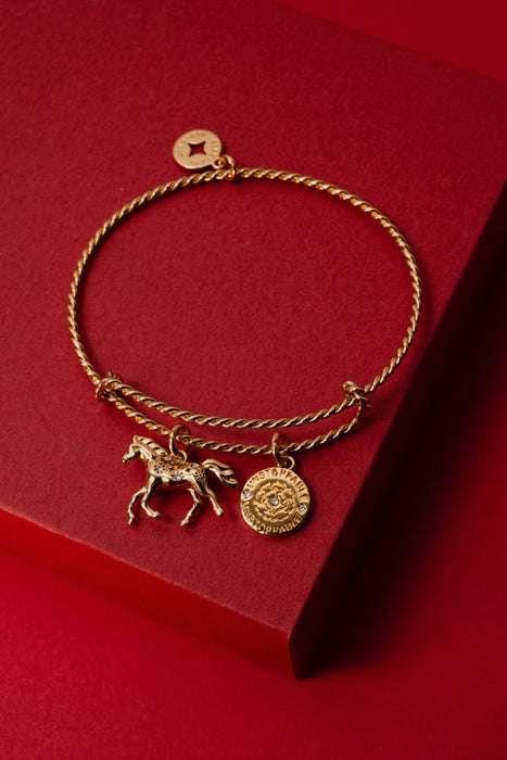 Horse Rope Textured Charm Bangle