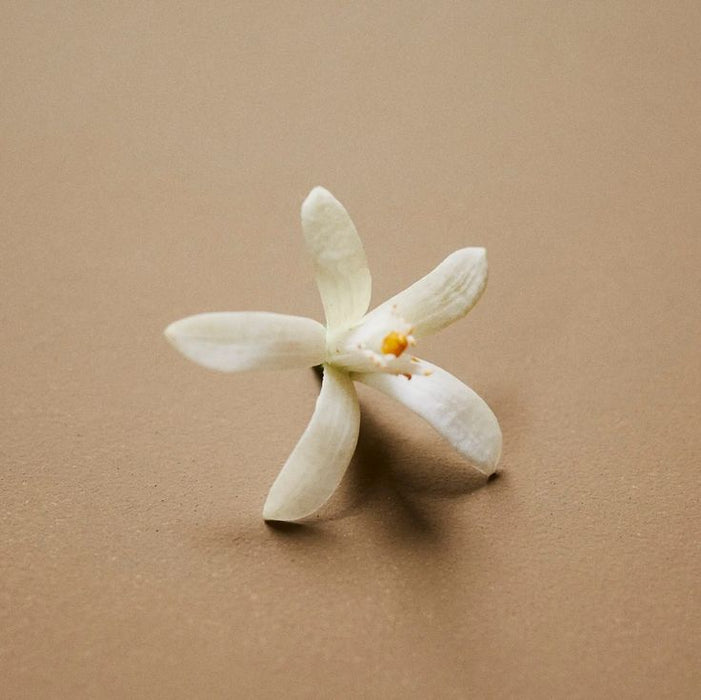 Flore Jasmine Neroli Citrus Floral Botanical Scent Balm