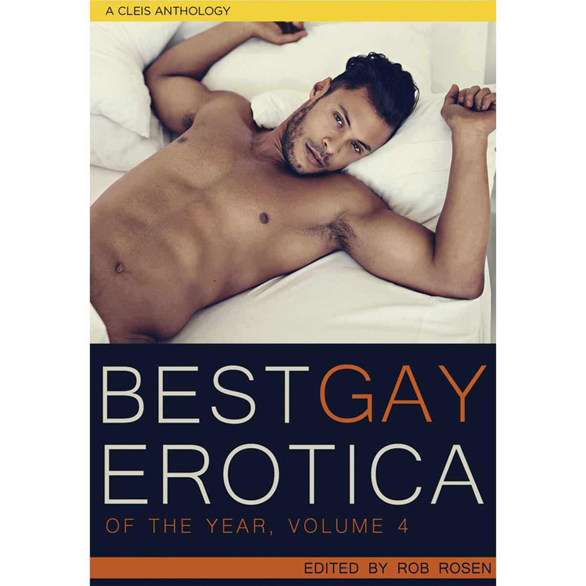 Best Gay Erotica of the Year, Volume 4– Vespertine Boutique